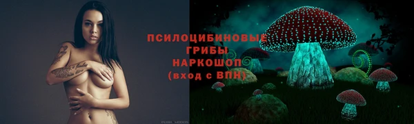 стафф Тольятти